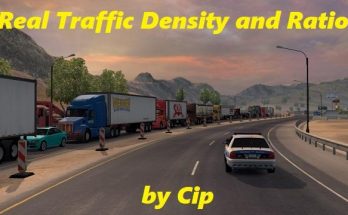 Real Traffic Density and Ratio ATS 1.32