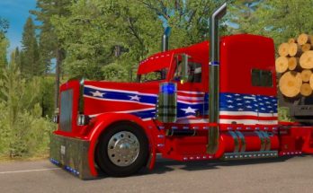 Rebel Outlaw 389 Skin