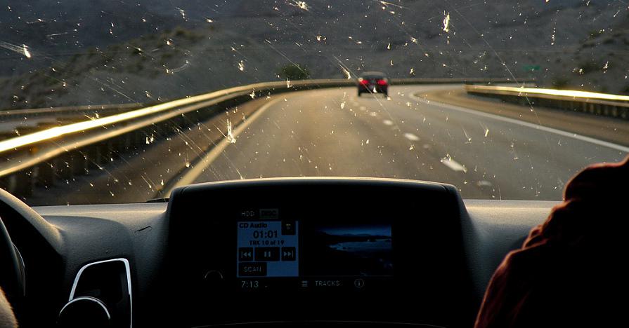 Insects on windshield for all Trucks v1.0