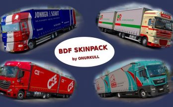 BDF SKINPACK v1.0