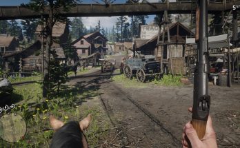 RDR2 FOV - Widescreen Mod