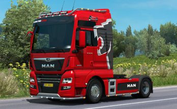 MAN Lion Pro edition skin for Madster v1.0