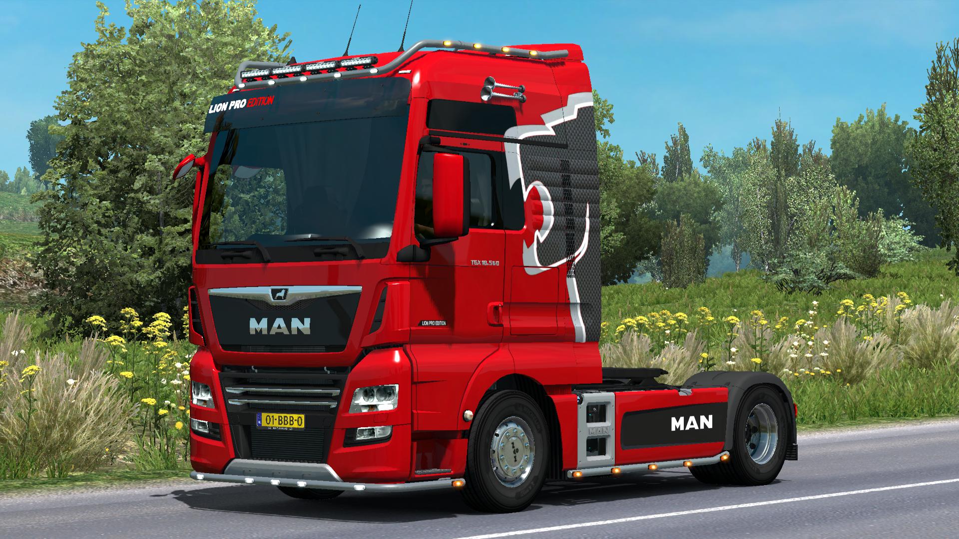 Man truck simulator. Man TGX етс 2. Man TGX Lion Pro Edition. Man TGX Euro 6 MADSTER. Man Euro 6 Lion скин.