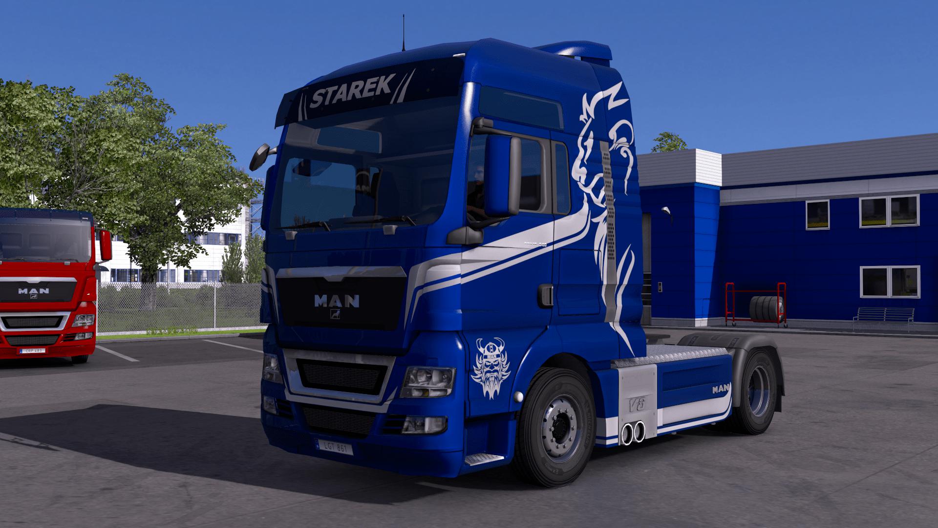 Man Tgx Starek Transport Skin 137