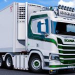 Changeable metallic stripe for Scania R 1.38