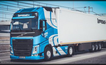 VOLVO FH4 Tammex Grupp Combo Skin v1.0