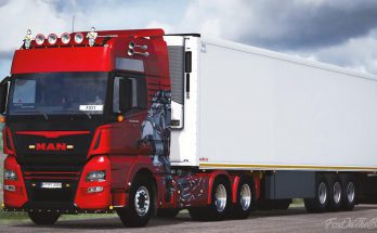 MAN TGX Euro6 1.39