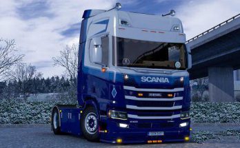 Rudd Borst skin for Scania NG R v1.0