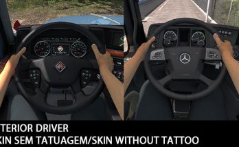 Skins Driver Hands without Tattoo two options 1.39