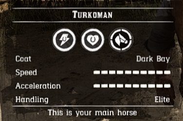 The Ultimate Horse