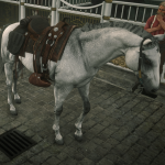 Online Turkoman Horses