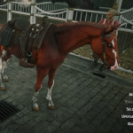 Online Turkoman Horses