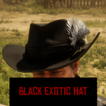 Black Exotic Hat