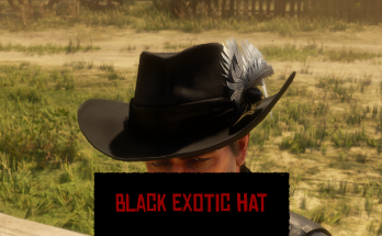 Black Exotic Hat