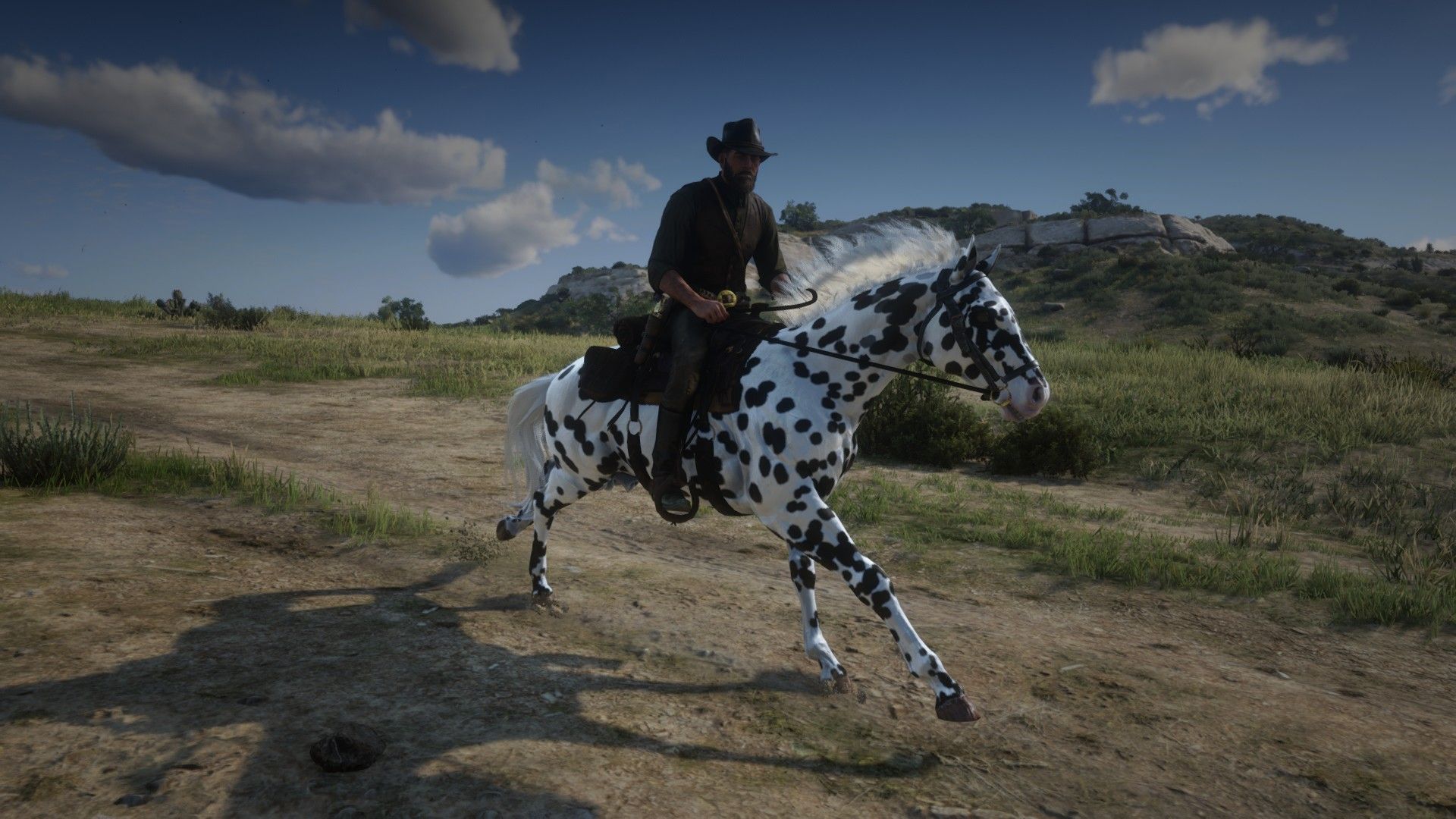 Appaloosa Allmods Net