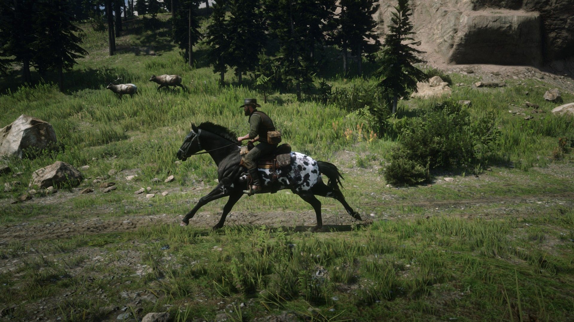 Appaloosa Allmods Net