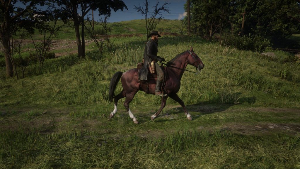 First horse