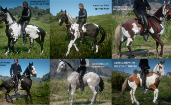 New Horse Coats