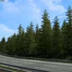 Spruce improved 1.0 1.43