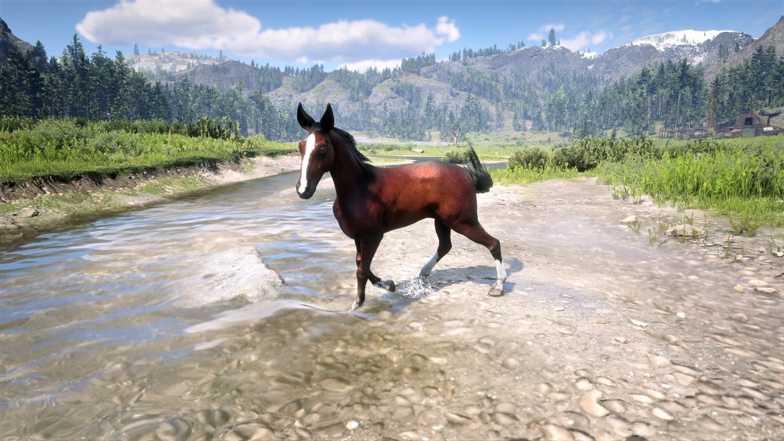 Red Dead Mule - Allmods.net