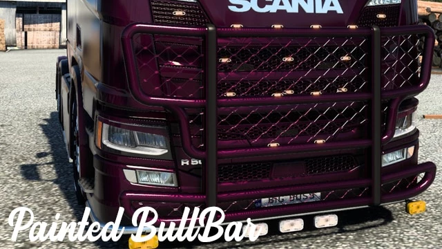 Painted Bull Bar v1.1