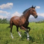 Realistic Fictional Horses