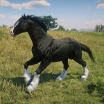 Realistic Fictional Horses