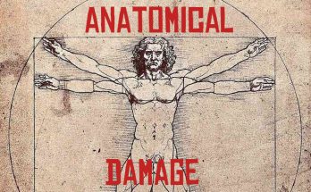 Anatomical Damage V1.1