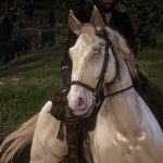 New Eye Colors For Horses