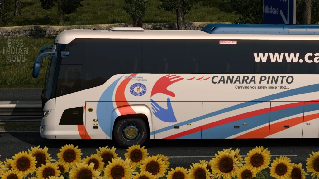 Indian Canara Pinto Skin Pack for Scania Touring v1.0
