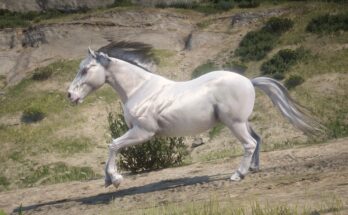 Camargue Horse