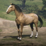 Zyre's Horses