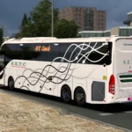 Indian SETC (Tamil Nadu) Skin Pack for DBMX Volvo 9800 UK v1.0