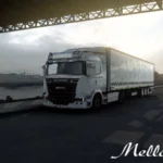 Scania Real Trucks 1.45