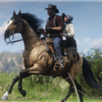 Improved Kentucky Saddler Horses