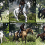 New Miscellaneous Horse Coats