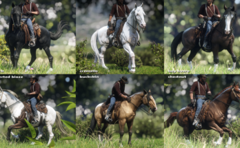 New Miscellaneous Horse Coats