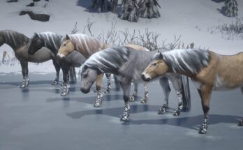 Norwegian Fjord Horse Pack V1.2