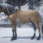 Norwegian Fjord Horse Pack V1.2