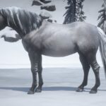 Norwegian Fjord Horse Pack V1.2