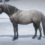 Norwegian Fjord Horse Pack V1.2