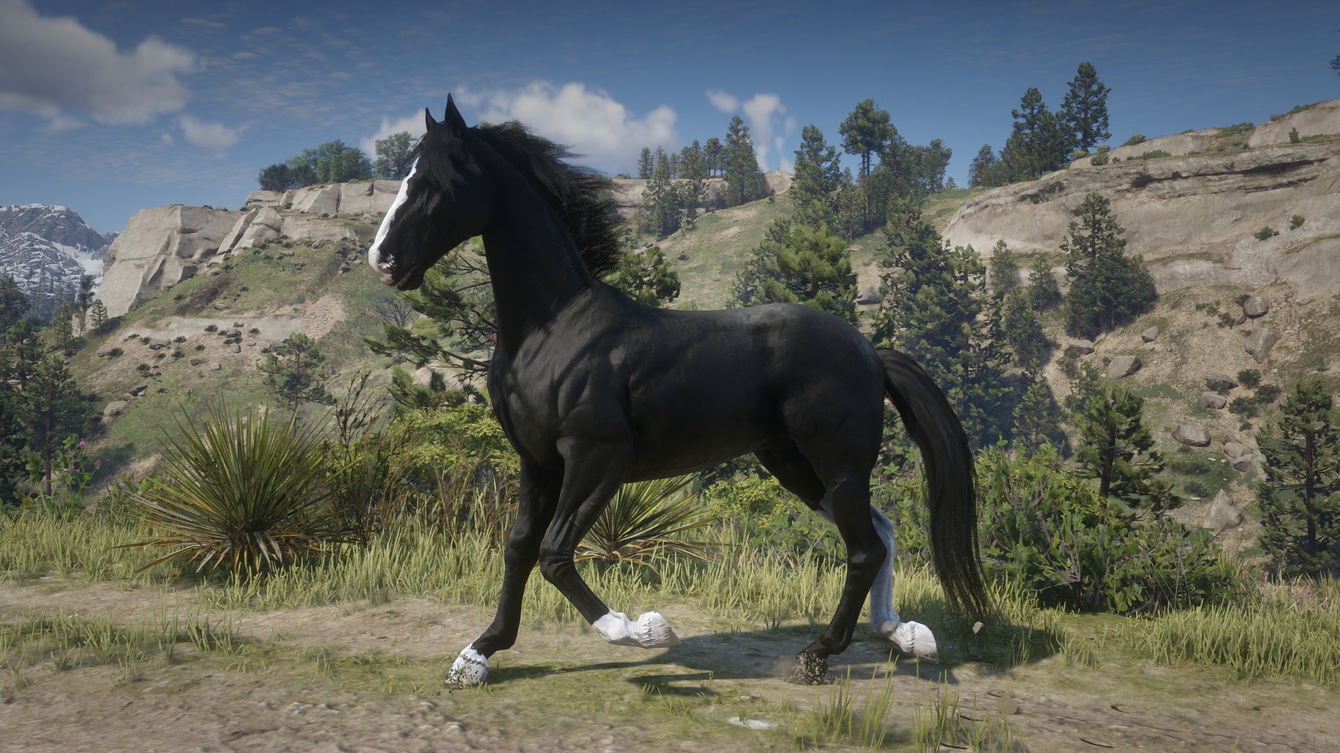 Orlov Trotter V Final Allmods Orlov Trotter V Final Allmods