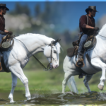 Paint and Appaloosa Horse Coats