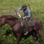 No AUTO Horse Holstering