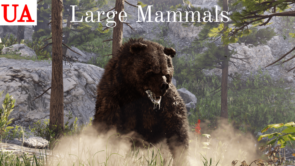 Upscaled Animals Large Mammals