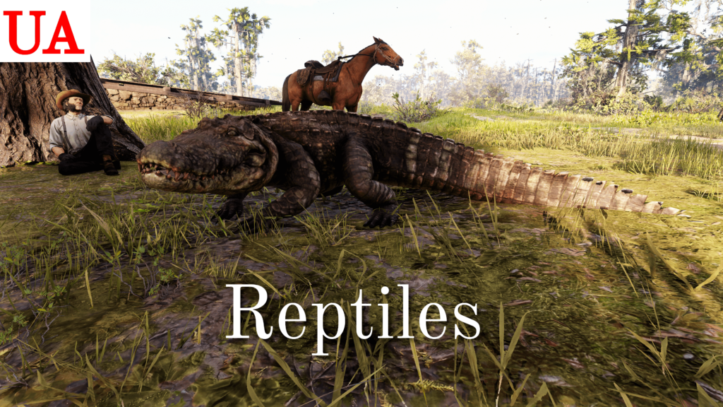 Upscaled Animals Reptiles