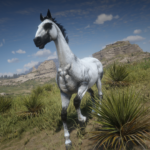 Horses by the Paws V1.0
