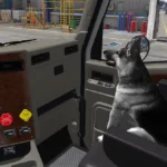 SEAT COMPANIONS PACK V1.0 1.46