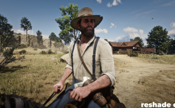 Reshade For All Games (RDR2)
