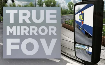 True Mirror FOV for ETS2 1.46